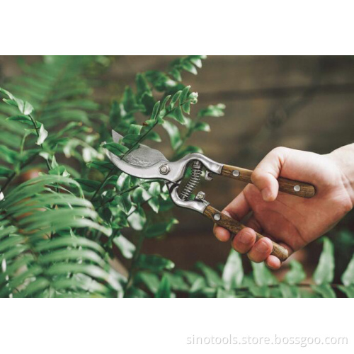 hot selling Pruning shears